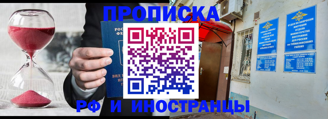прописка 2025 в Тереке